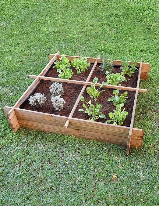 Faura 16 departamentos - Huerto Urbano de Madera - Suelo: Amazon ...