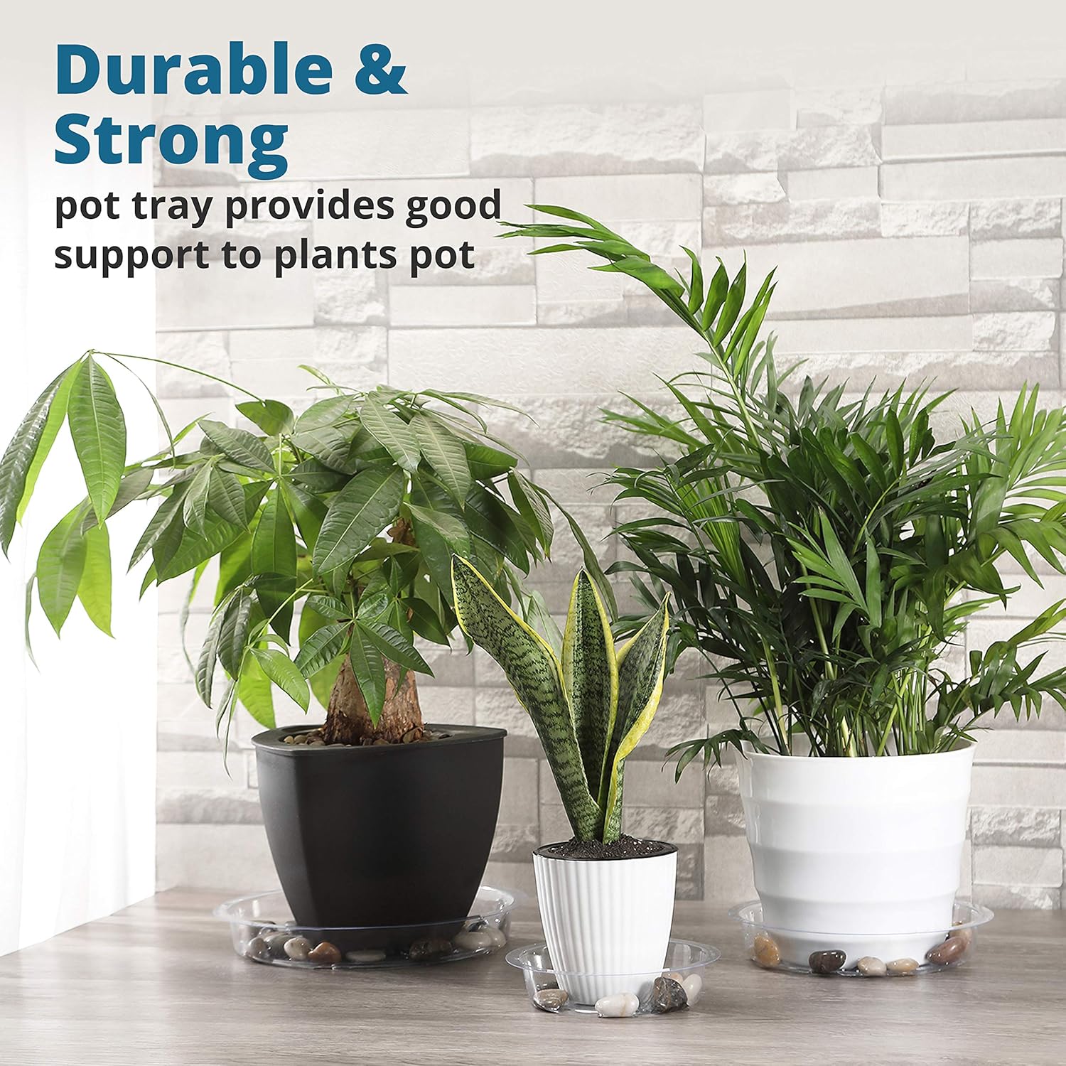 Konanzo Plant Saucer 15 Pack of Clear Plastic Saucers Drip Trays in Assorted Sizes (6 inch/8inch/10inch) Flower Pot Tray for Indoors & Outdoor Plants or Planter pots. (1, 6, 8, 10 inch) : Garden & Outdoor