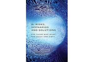 AI Risks, Scenarios and Solutions: For those who want the quick and dirty