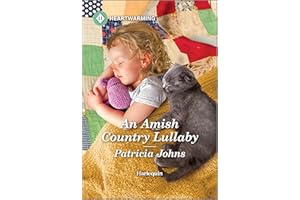 An Amish Country Lullaby: A Clean and Uplifting Romance (An Amish Antiques Shop Romance Book 2)