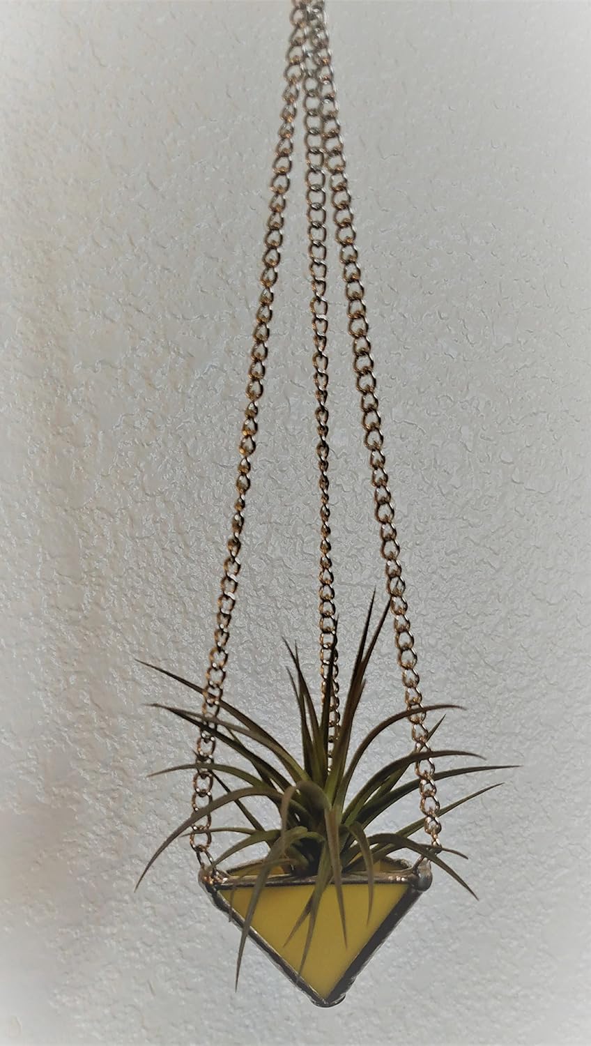 Stained Glass Airplant Hangers INCLUDES PLANT Small Yellow Handmade