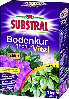 Substral Bodenkur Rhodo-Vital - 1 kg