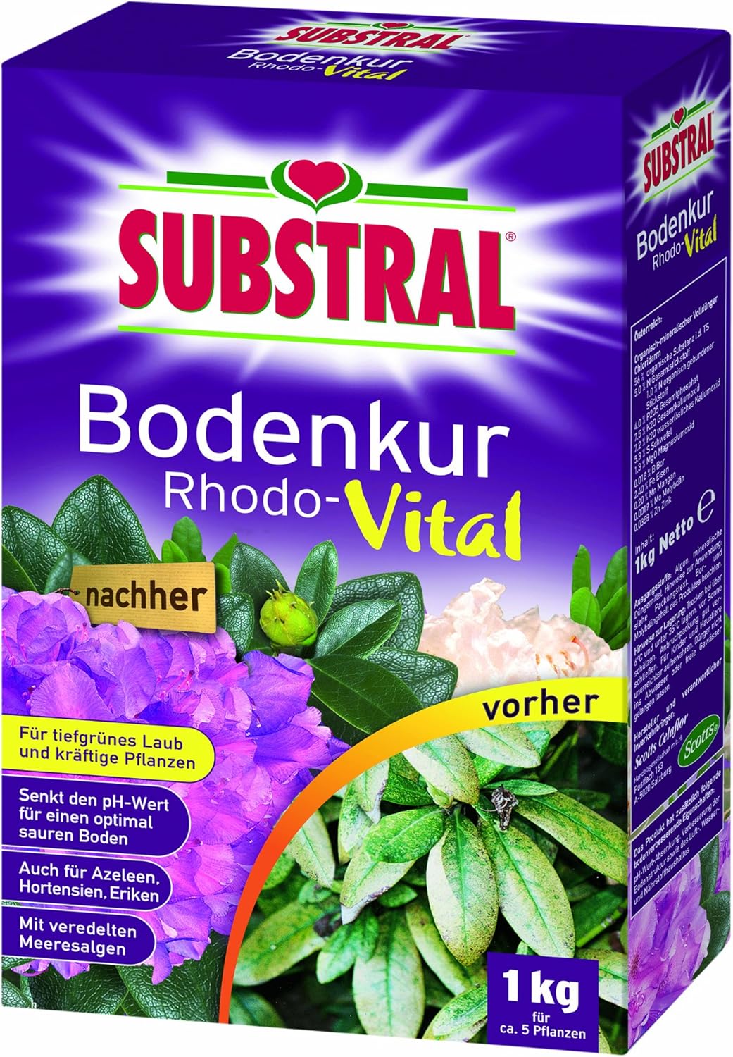 Substral Bodenkur Rhodo-Vital - 1 kg