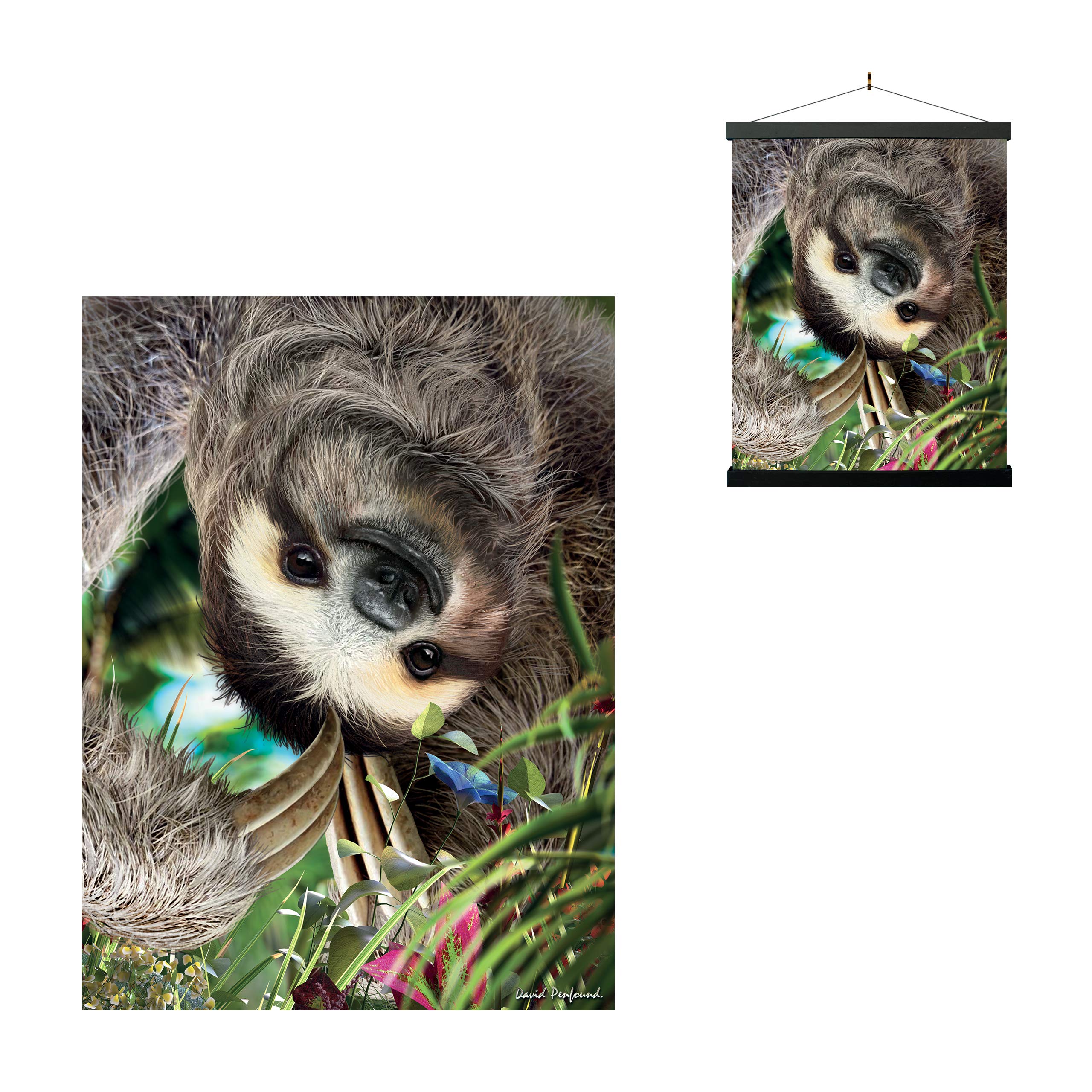 3D LiveLife Lenticular Wall Art Prints - Hangin' Around from Deluxebase. Unframed 3D Sloth Poster. A perfect wall filler. Original artwork licensed from renowned artist, David Penfound