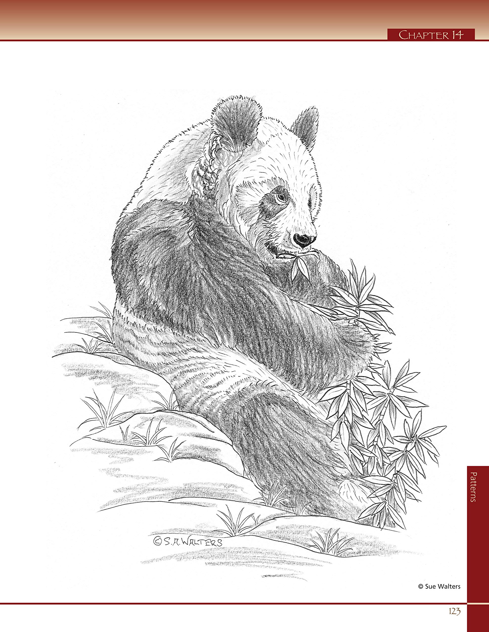 Pyrography Workbook: A Complete Guide to the Art of Woodburning (Fox Chapel Publishing) Step-by-Step Projects and Original Patterns for Beginners, Intermediate, and Advanced Woodburners