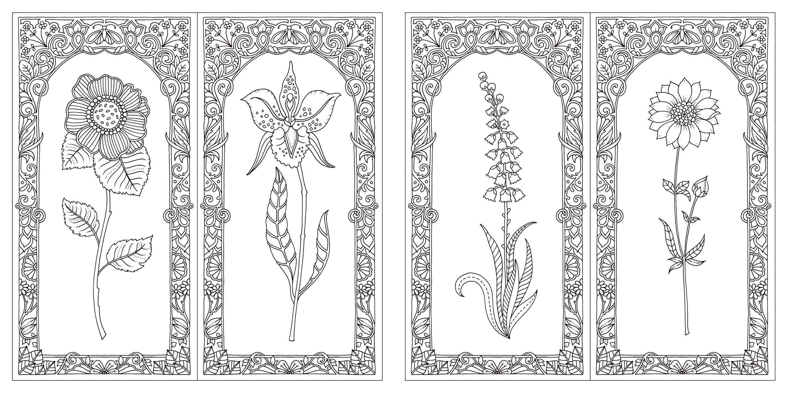 フラワーズ 花を彩るぬりえブック ジョハンナ バスフォード 西本 かおる 本 通販 Amazon