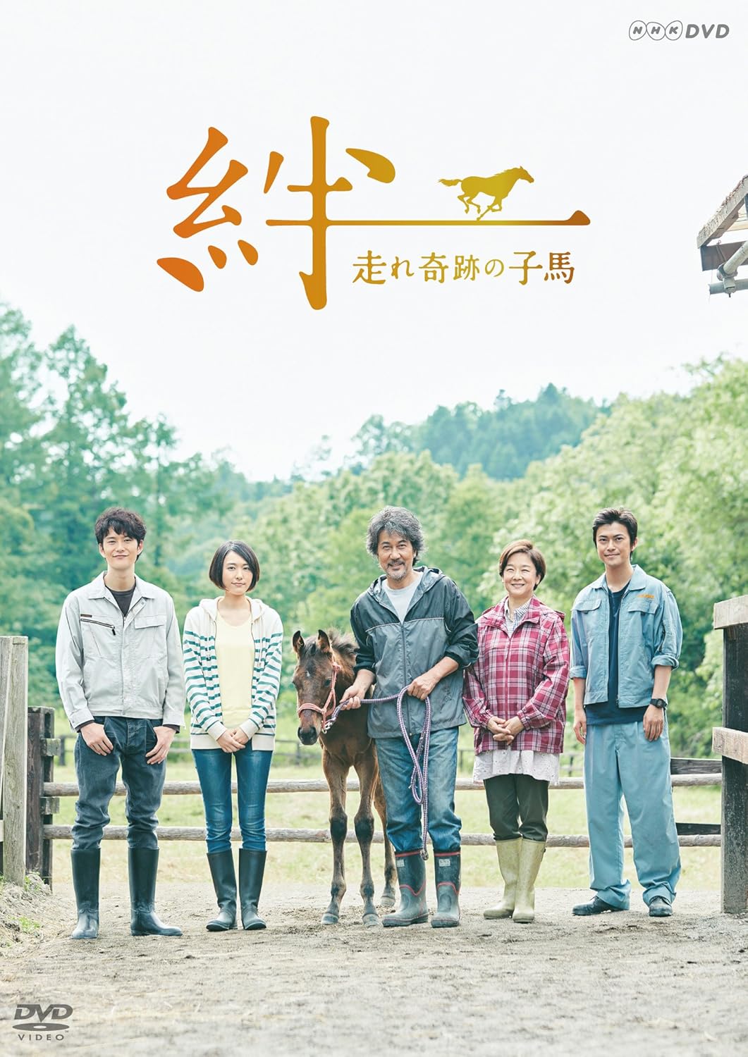 Amazon 絆 走れ奇跡の子馬 Dvd Tvドラマ