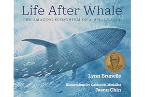Life After Whale: The Amazing Ecosystem of a Whale Fall