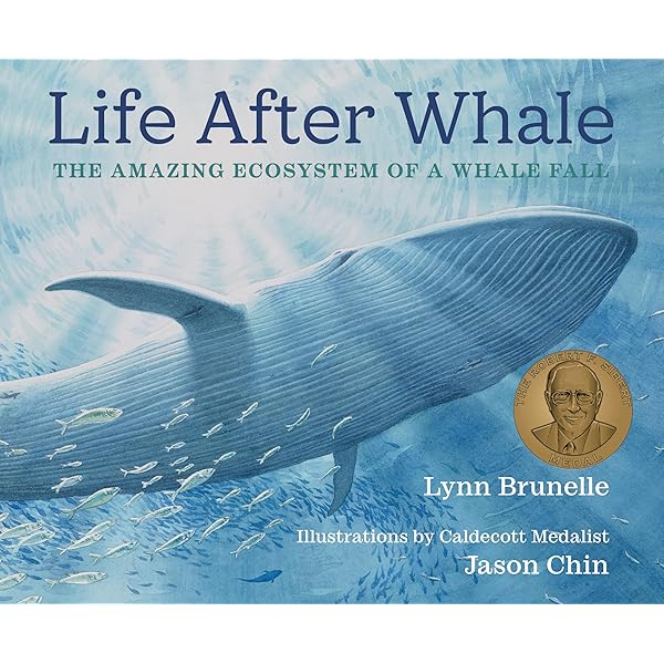 クジラ 写真集「Beautiful Whale」ブライアント・オースティン Amazon.com: Beautiful Whale: 9781419703843: Austin, Bryant
