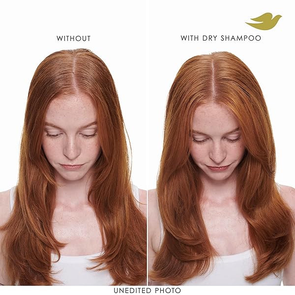 DOVE ADVANCED DRY SHAMPOO VOLUME & FULLNESS REFRESH & REVIVE FLAT HAIR WITHOUT WATER FOR 2 DAYS OF FRESHNESS & BOUNCE 5 OZ