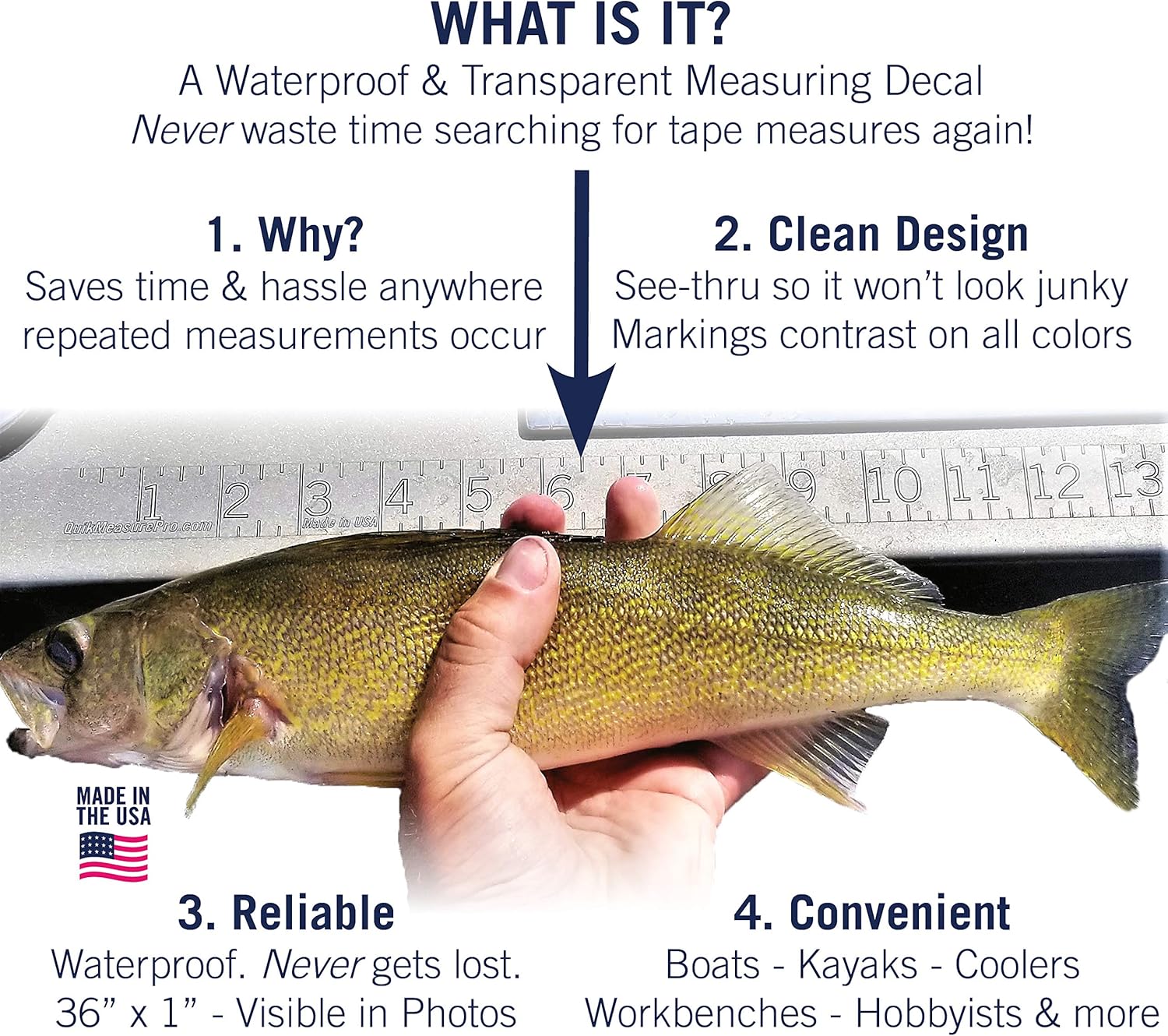 retractable fish measuring tape