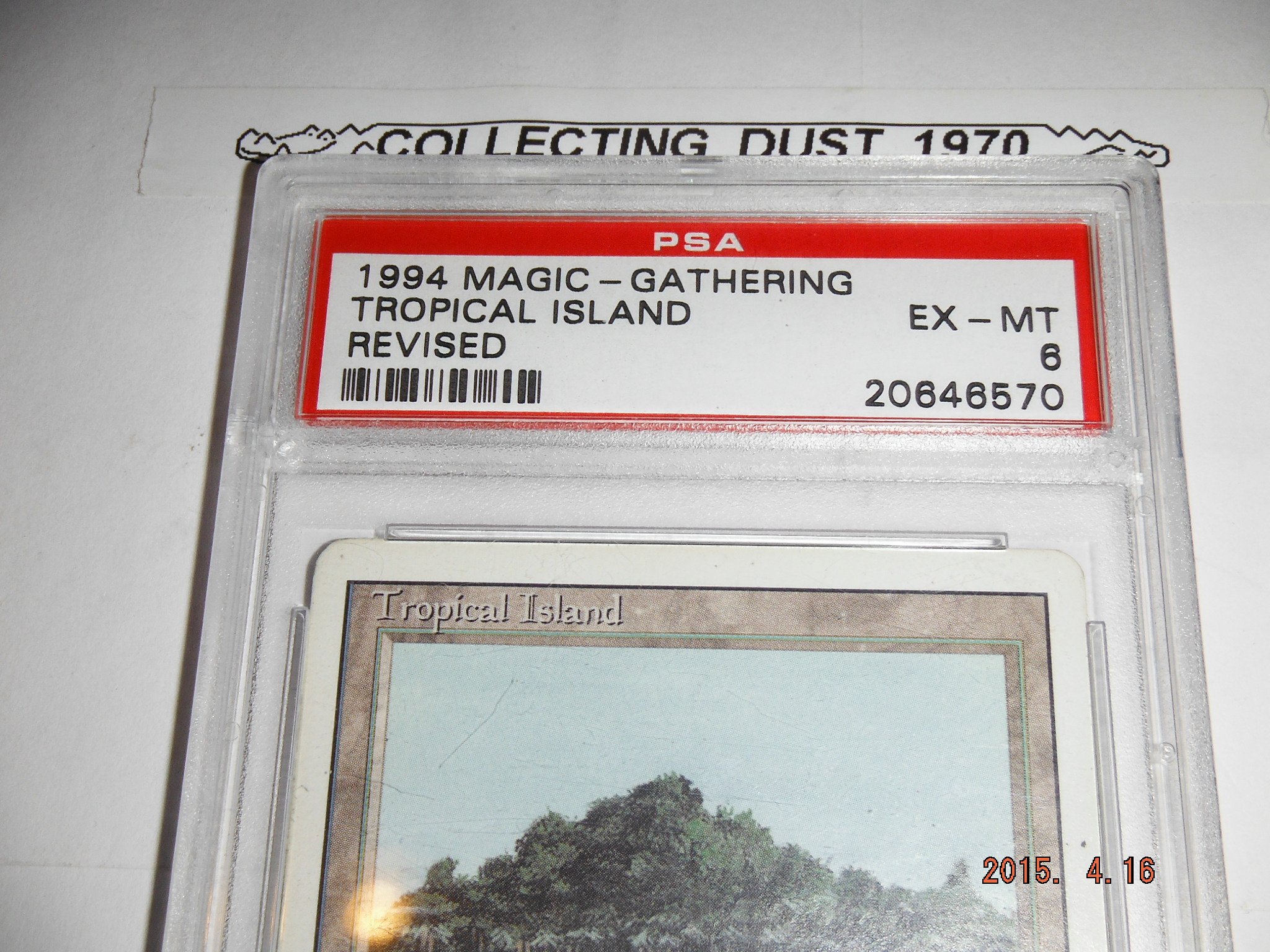 Tropical Island Magic The Gathering Revised Rare | Desertcart INDIA