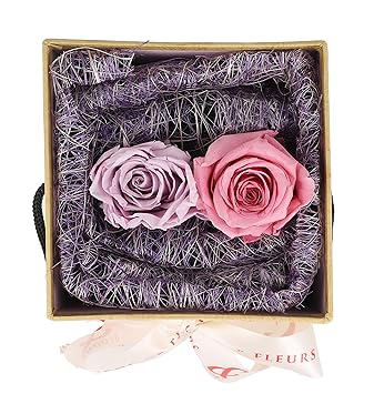 ANDBLOOMS - &BLOOMS Everlasting Pink and Purple Rose in Square Box