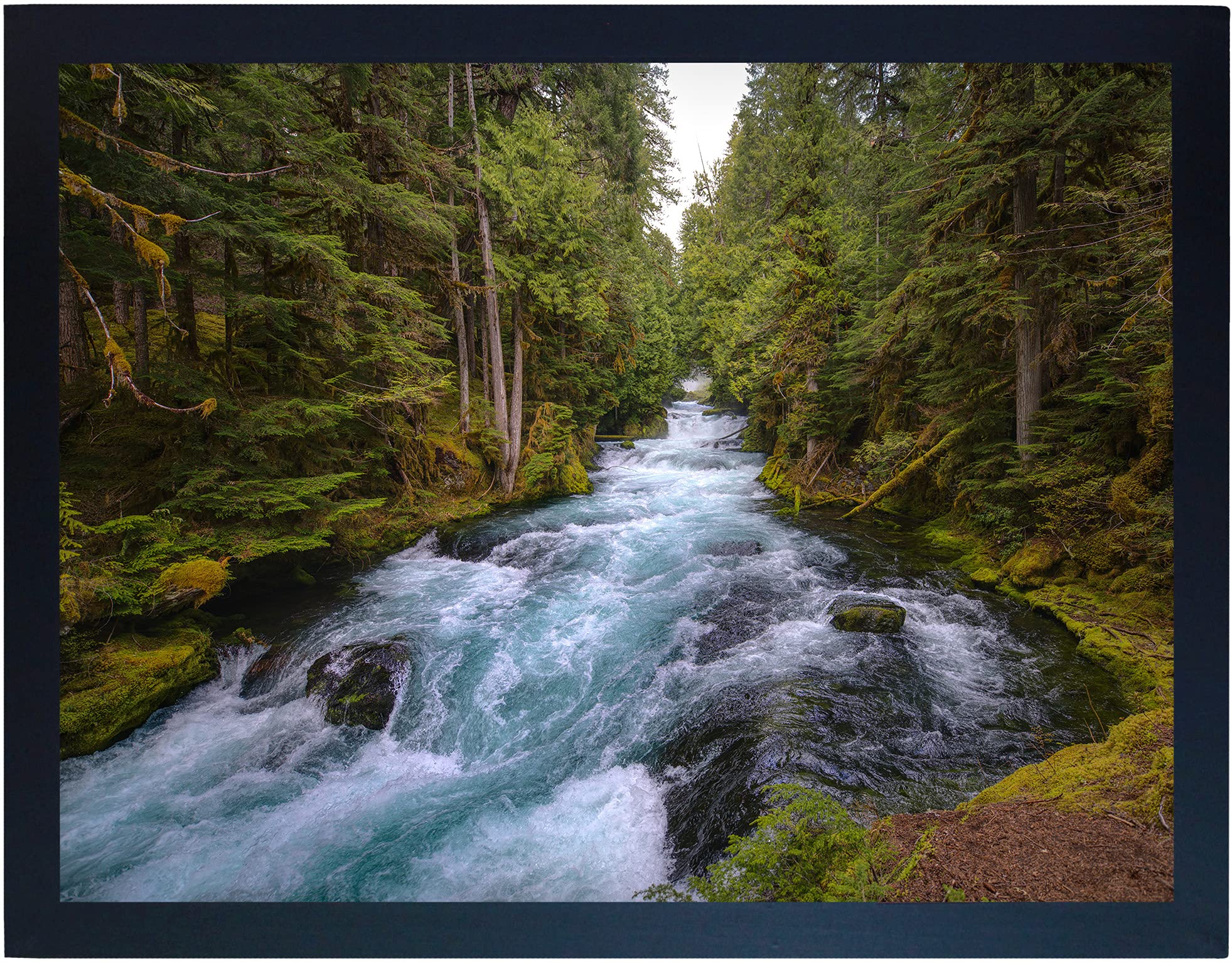 Photo 1 of 18X24 Black Gallery Poster or Picture Frame - Wide Molding - Includes Attached Vertical AND Horizontal Hanging Hardware - Plexiglass Front - Display 18 x 24 Inch Photos, Artwork, or Posters