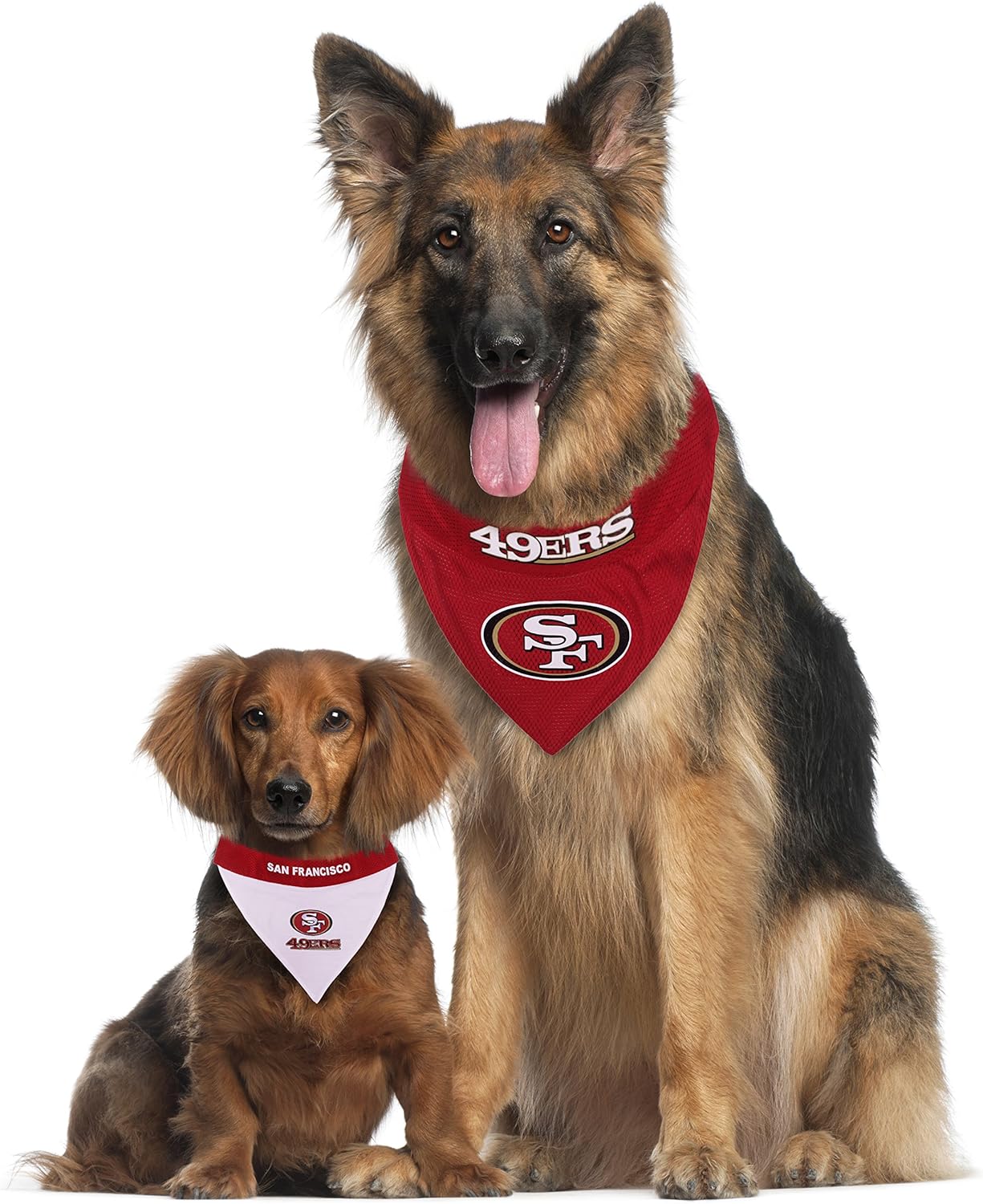 49ers dog bandana Clearance