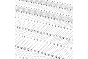 Ninoge 120Pcs Torsional Springs Assortment Kit, Stainless Steel Springs, Mechanical Small Torsion Spring for Shop and Home Re