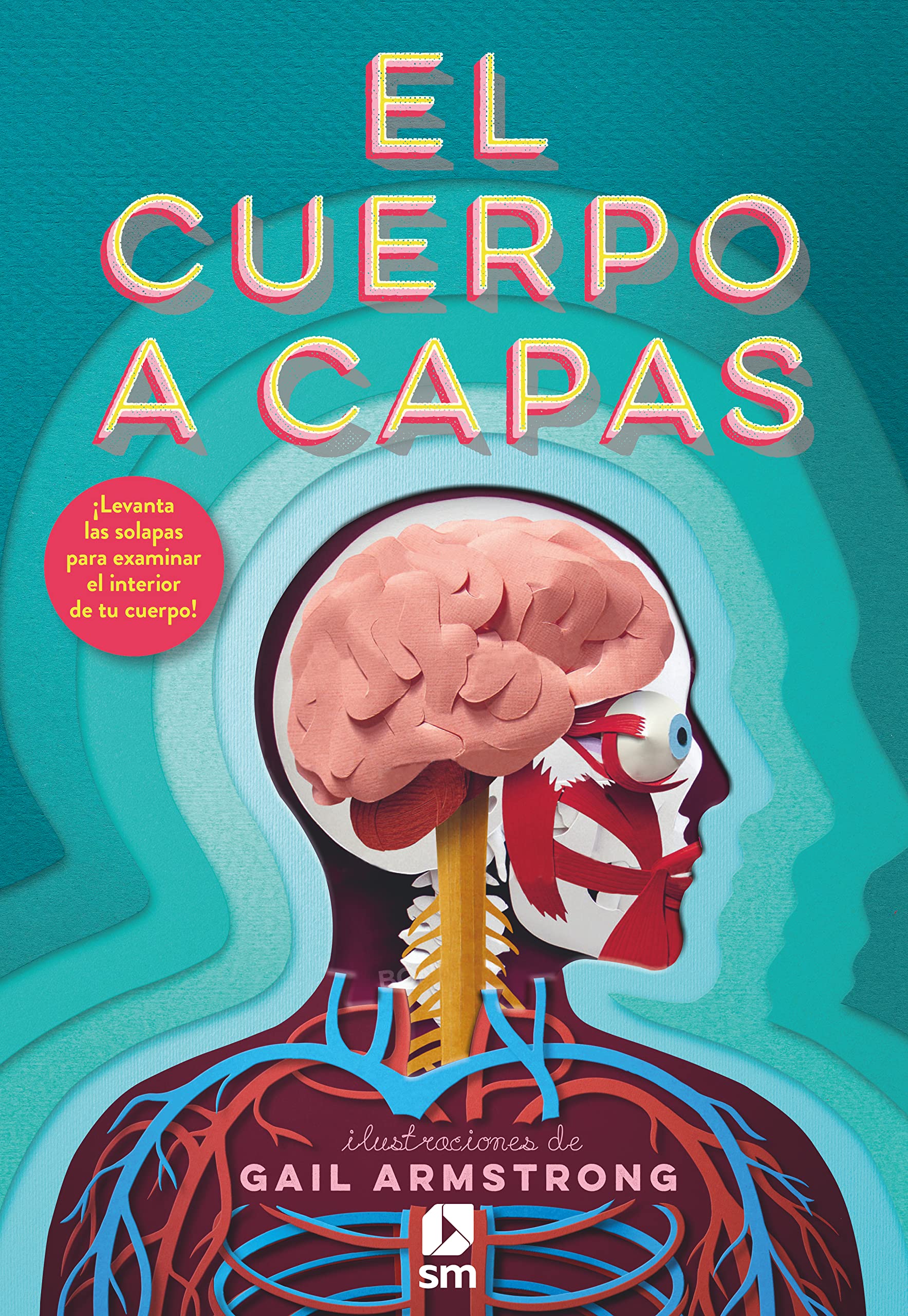 EL Cuerpo A CAPAS
