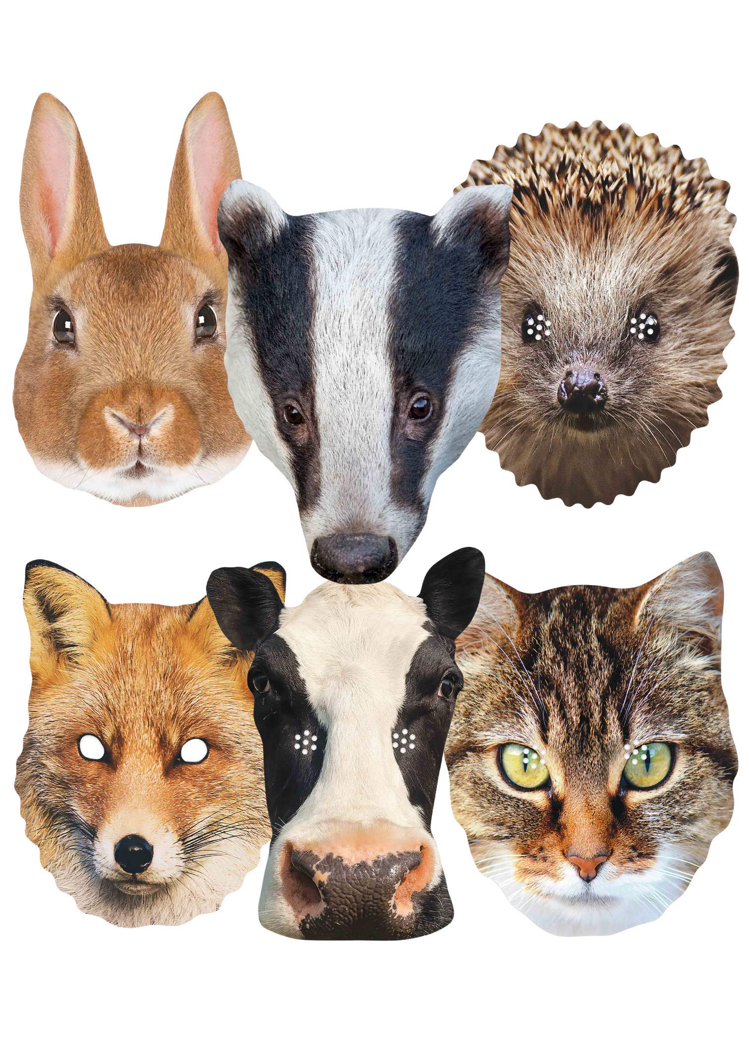 Star Cutouts Ltd Badger, Fox, Cow, Hedgehog, Cat, Rabbit l Pack of Six l, Multicolour,29cm x 21cm / 11.4 in x 8.2 in 1