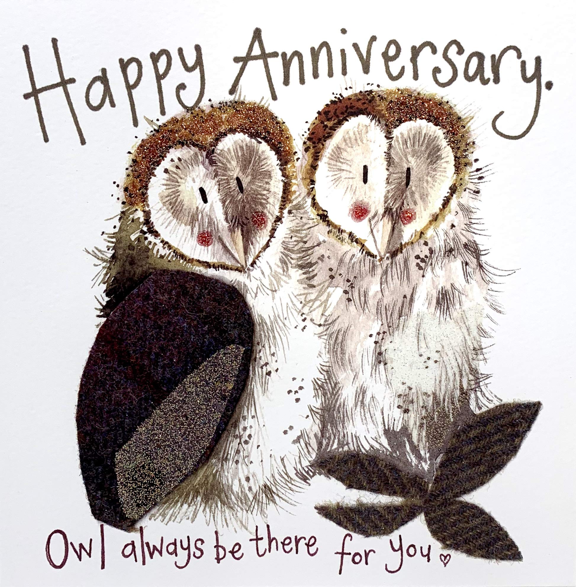 Alex Clark Happy Anniversary Owls Card - For Wife or Husband - Owl - Bird - Nature - Wildlife - Cards To Celebrate - Designed and Printed in the UK…