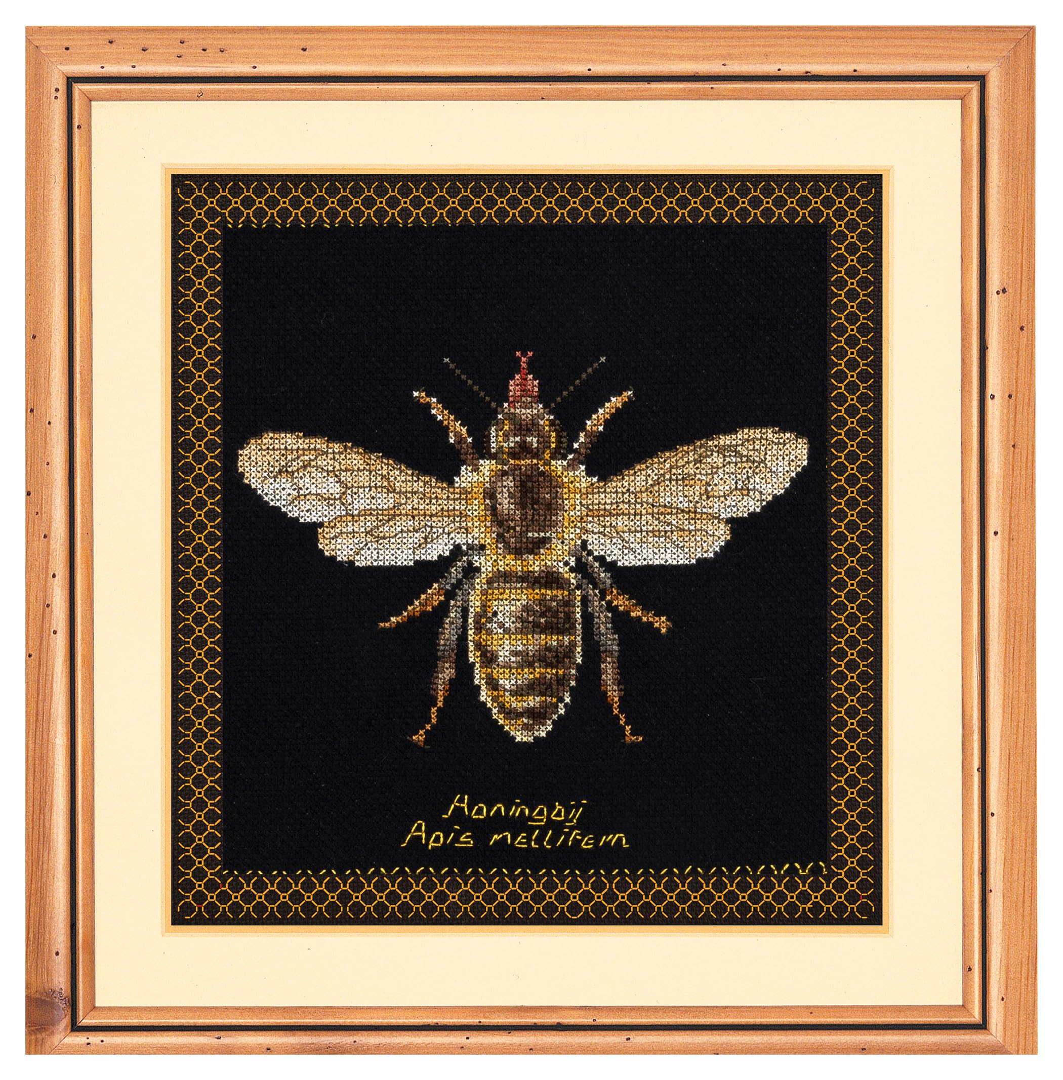 Thea Gouverneur Honey Bee Cross Stitch Kit - 16 Count Aida Black - Complete Embroidery Kit for Adults - Includes DMC Threads. Needle. and Instructions - Premium Cross Stitch Supplies - 3017.05