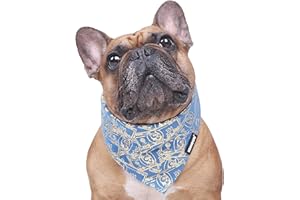 iChoue Original Print French Bulldog Bandanas Washable Bibs Adjustable Triangle Scarfs for Frenchie Pug English Boston Terrier Dogs, Blue Money, Medium