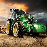 Farming Family 2017 : Farm Manager