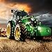 Farming Family 2017 : Farm Manager