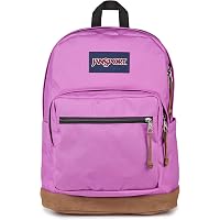 Amazon.com: JanSport Laptop Backpack - Computer Bag with 2 Compartments,  Ergonomic Shoulder Straps, 15 Laptop Sleeve, Haul Handle - Lavender Ash :  Electronics