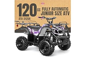 Coolster 125cc ATV for Kids & Adults, Army Purple - Gas Powered Automatic 4 Wheeler Quad with Electric Start, ATV-3125R