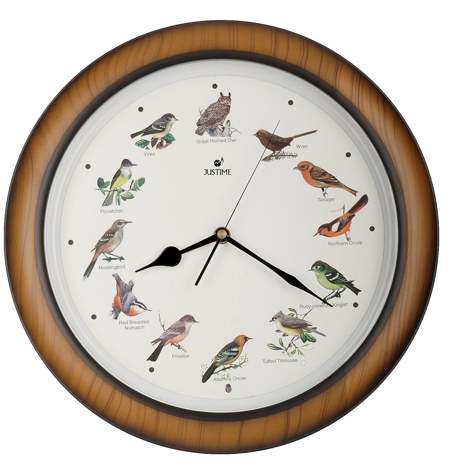 JUSTIME Lovely Collection 14inch Plays 12 Popular North American Bird