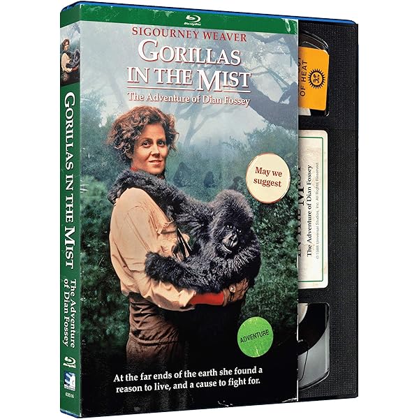 その他 Mountain Gorillas [Blu-ray] Alpha Male Mountain Gorilla 