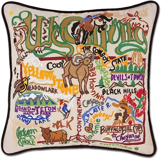 Amazon Com Catstudio Wyoming Embroidered Decorative Throw Pillow