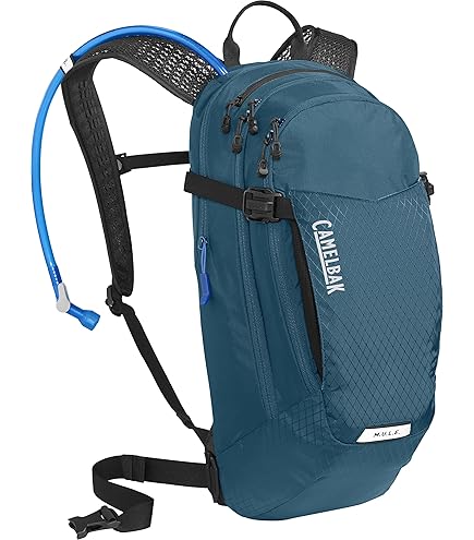 Amazon.com : CamelBak Rogue Bike Hydration Pack, Lightweight