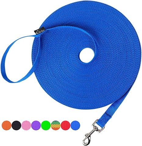 Hi kiss dog leash Clearance