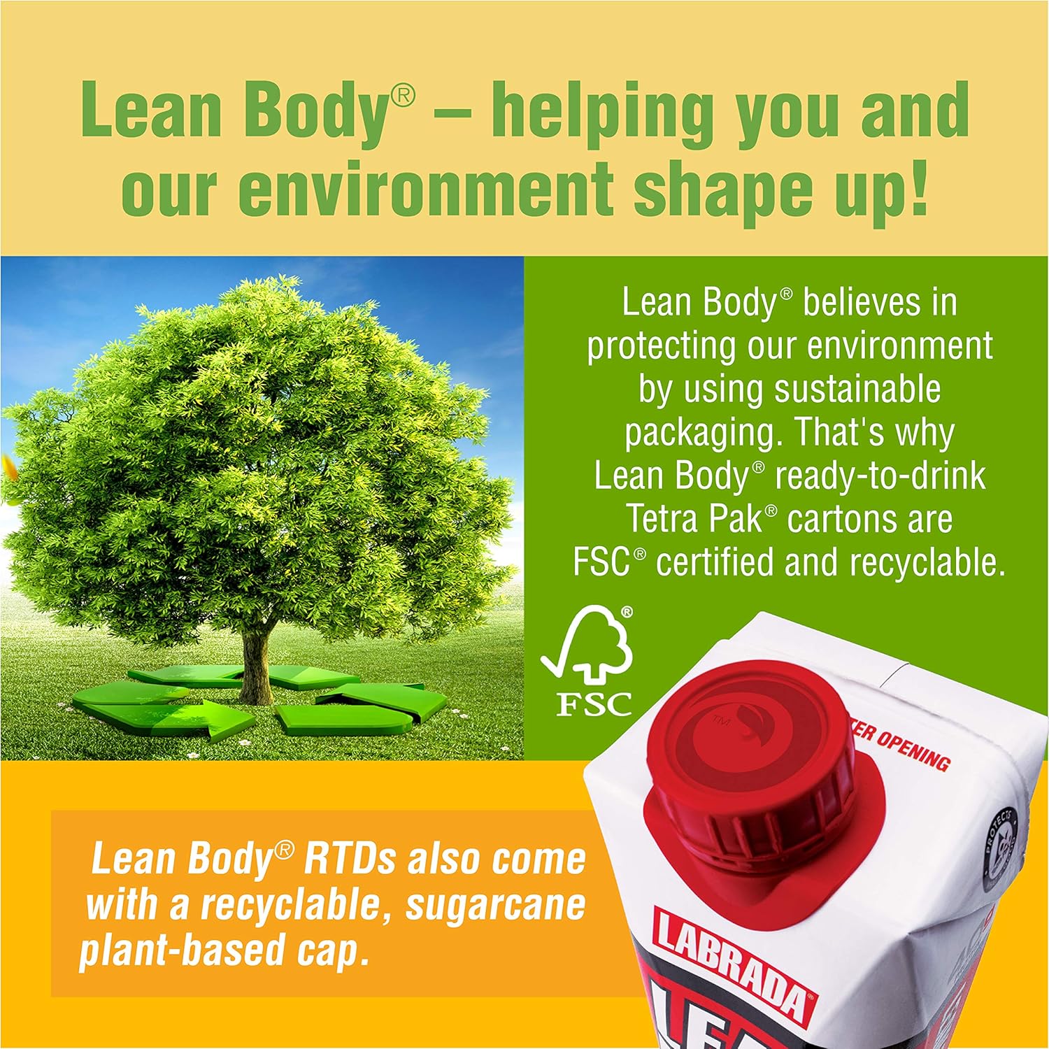 Lean Body Ready-to-Drink Chocolate Protein Shake, 40g Protein, Whey Blend, 0 Sugar, Gluten Free, 22 Vitamins & Minerals, (Recyclable Carton & Lid - Pack of 12) LABRADA: Health & Personal Care