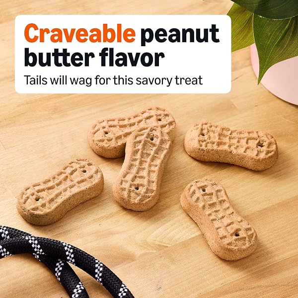 AMAZON BASICS CRUNCHY DOG BISCUITS PEANUT BUTTER FLAVOR DOG TREATS 5 LB. BOX