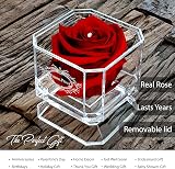 Eternal Petals Real Rose Lasts Years White Gold Solo with Clear Crystal view 2