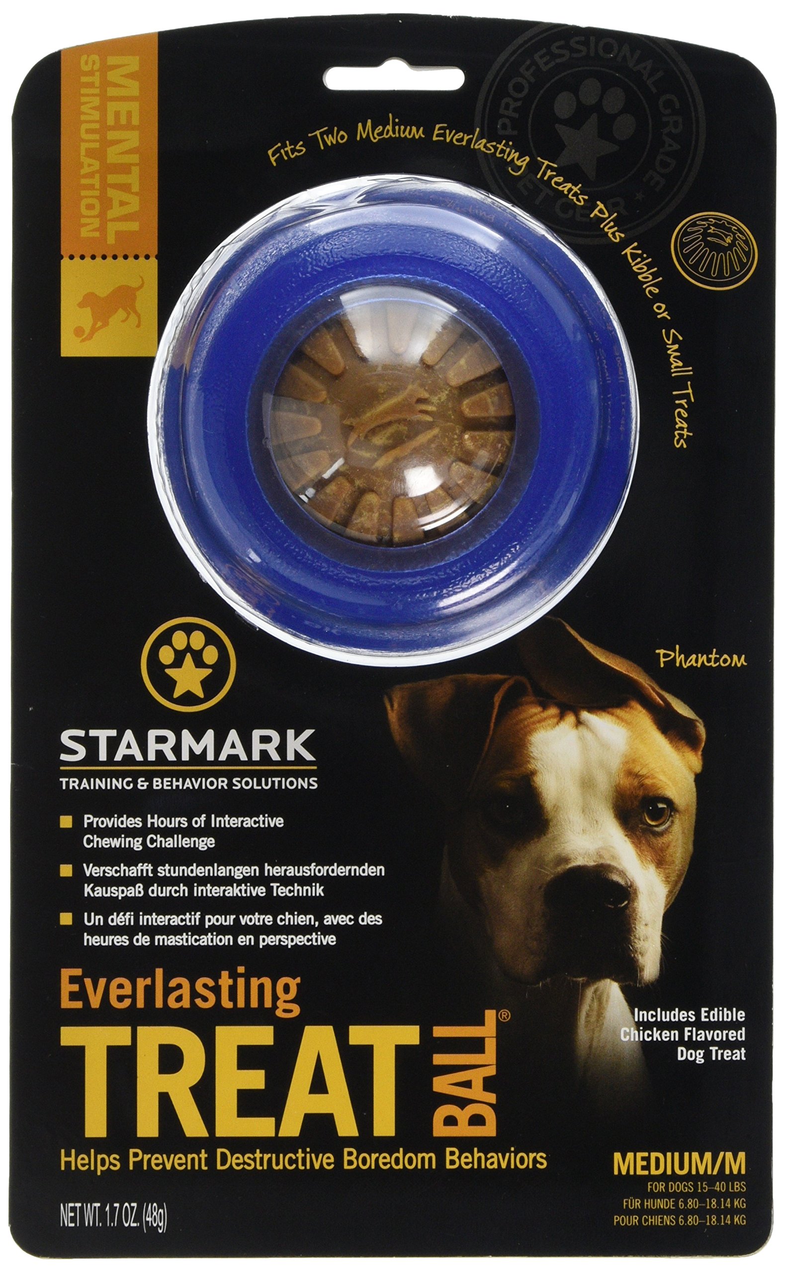 Starmark Everlasting Dog Treat Ball, Medium
