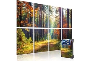 Art Acoustic Panels, 48x32x0.4 Inch, Sound Proofing, Wall Decoration, Suitable for Natural Aesthetic, Office Acoustics & Stress Reduction (Forest Autumn), Mollywell
