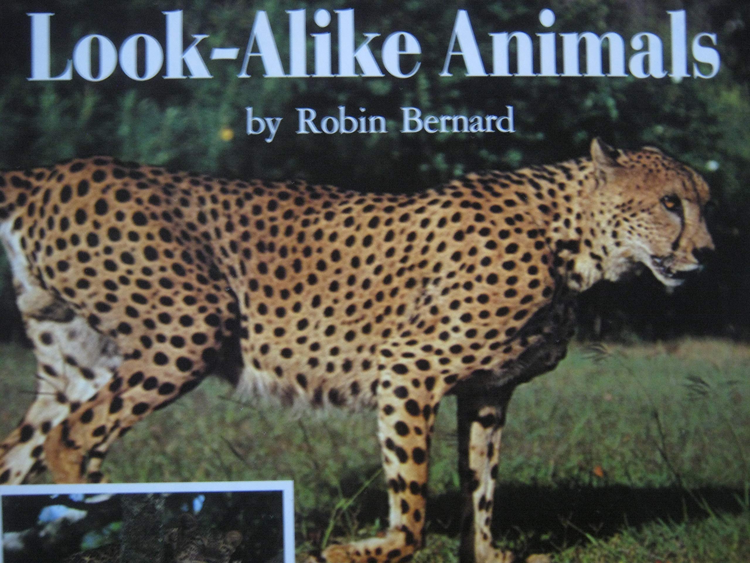 Look-Alike Animals: Robin Bernard: 9780590273886: Amazon.com: Books