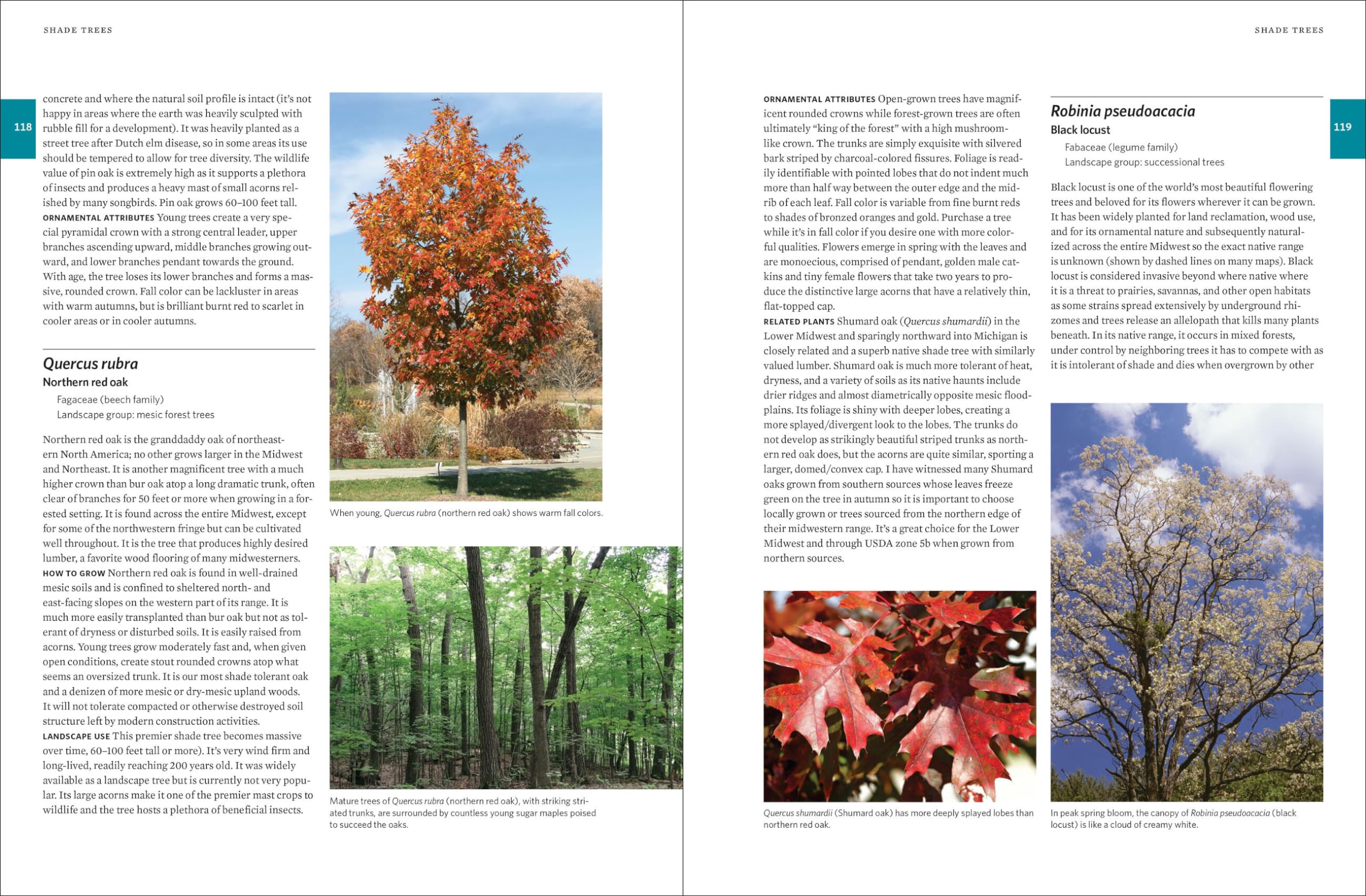Native Plants of the Midwest: A Comprehensive Guide to the Best 500 Species for the Garden Native Plants of the Midwest: A Comprehensive Guide to the Best 500 Species for the Garden Native Plants of the Midwest: A Comprehensive Guide to the Best 500 Species for the Garden Hardcover Kindle