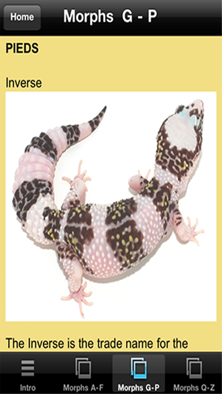 Amazon Com Leopard Gecko Pro Appstore For Android Amazon Com Leopard Gecko Pro Appstore For Android
