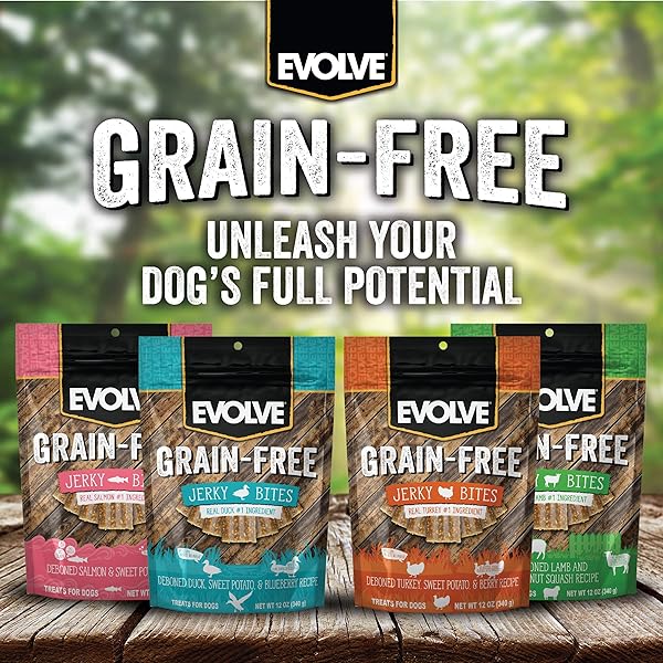 EVOLVE GRAIN FREE TURKEY, PEA, AND BERRY JERKY BITES DOG TREATS