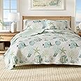 Full / Queen Coastal Quilt Bedding Set, Summer Coastal Quilt with Shams, Beach 3-Piece Reversible All Season Bedspread Quilt Set. Lightweight Nautical Quilted Coverlet. Seaside Collection, Blue Fish