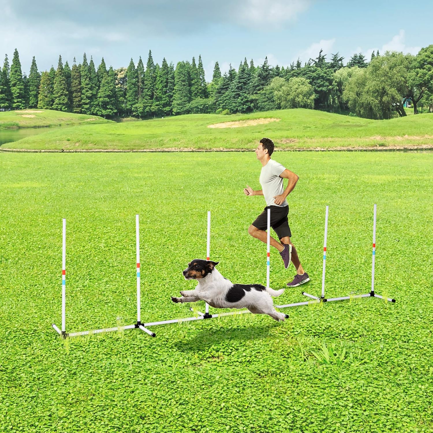 pawhut agility equipment