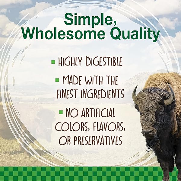 NYLABONE HEALTHY EDIBLES WILD NATURAL LONG LASTING CHEWS, BONE CHEW TREATS FOR DOGS, BISON FLAVOR, LARGE (1 COUNT)