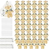 Haconba 54 Pack Mini Plush Teddy Bear Stuffed Animals Toy with 60 Pcs Thank You Tags and 60 Pcs Mesh Bags for Boy Girls Gender Reveal Baby Shower Party (Color Set 1)