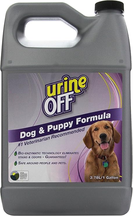 dog urine off carpet