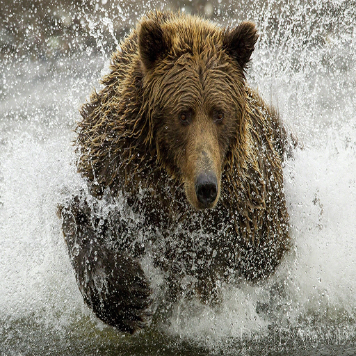 Ultimate Hunting Guide - Pro Ed
