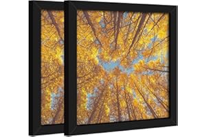 Medog 8x8 Picture Frame Black, Diploma Certificate Frame, Display Pictures 8x8 Square Frame, 2 Pack